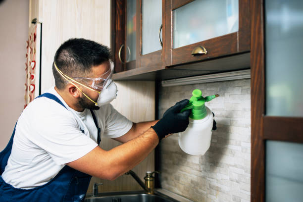 Best Affordable Pest Control Services  in Lakewood, OH