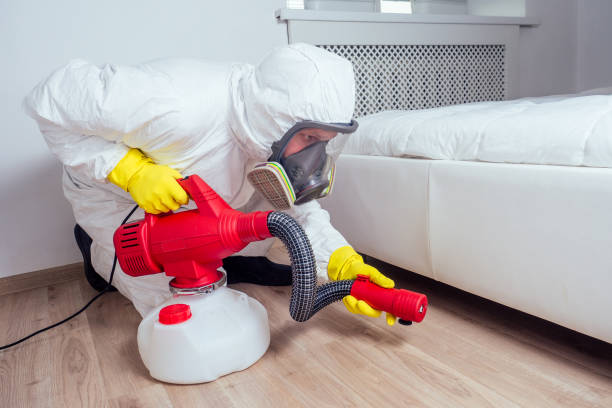Best Mosquito Control Services  in Lakewood, OH
