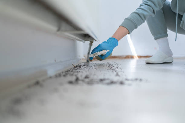 Best Commercial Pest Control Services  in Lakewood, OH
